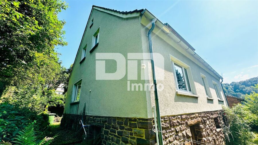 Herrschaftliches Ein- /Zweifamilienhaus BJ 1949 mit großem Garten in Traumlage - Seiten / Rückansicht
